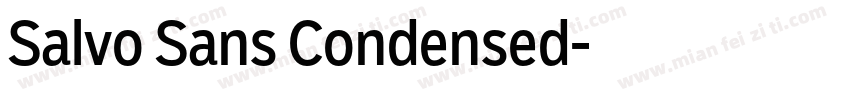 Salvo Sans Condensed字体转换